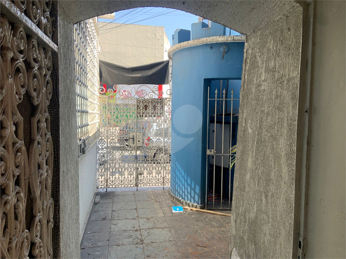 Foto REO1122479