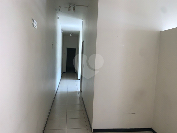 Foto REO1122479