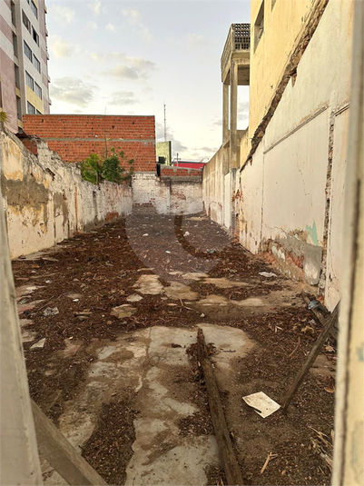 Foto REO1122485