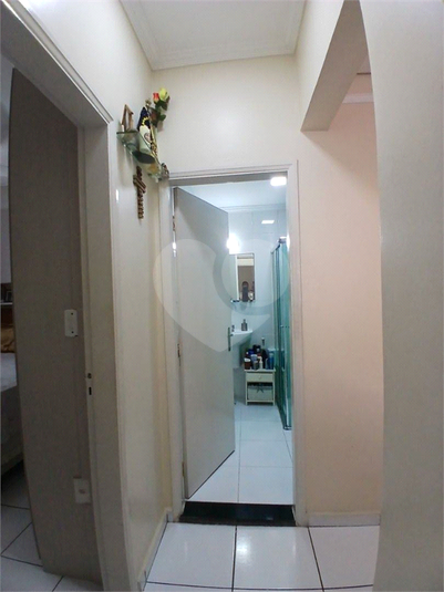 Foto REO1122486