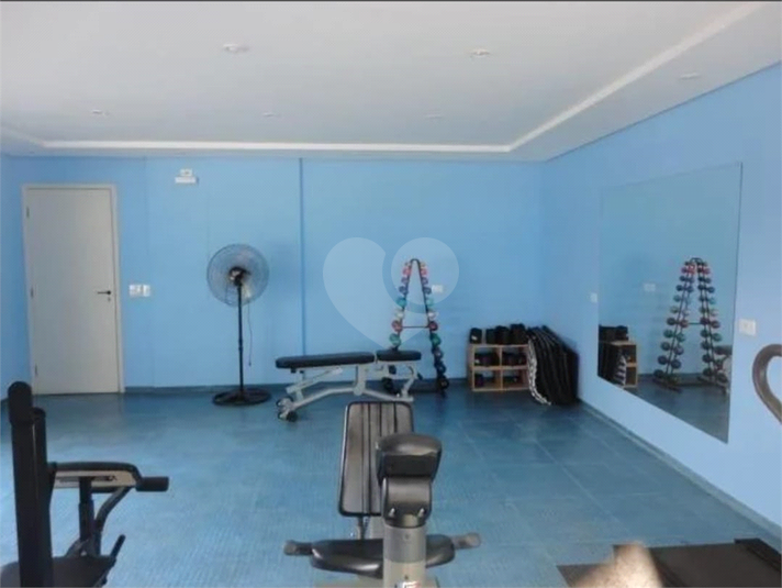Foto REO1122493