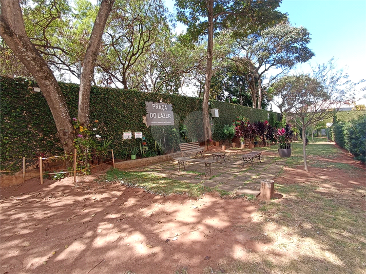 Foto REO1122496