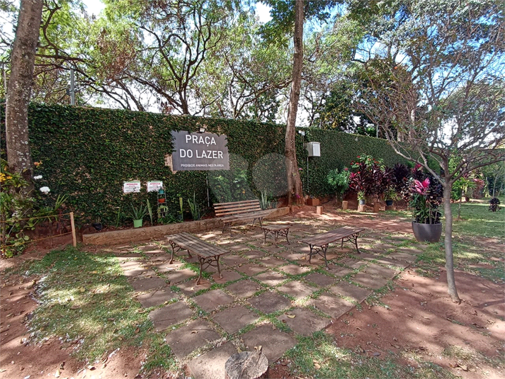 Foto REO1122496