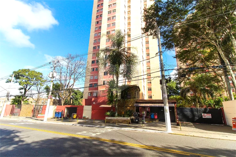 Foto REO1122499