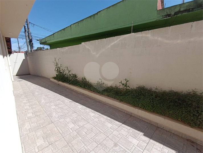 Foto REO1122521