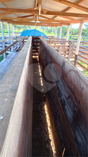 Foto REO1122525