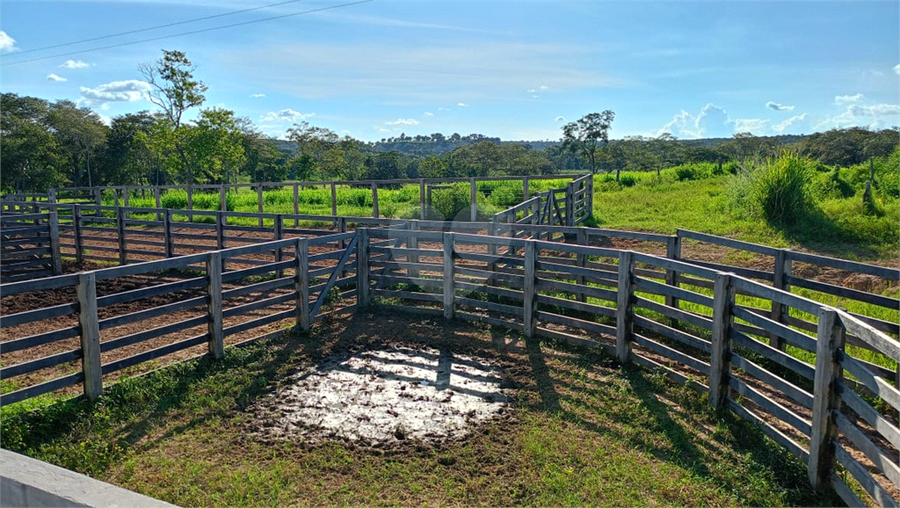 Foto REO1122525