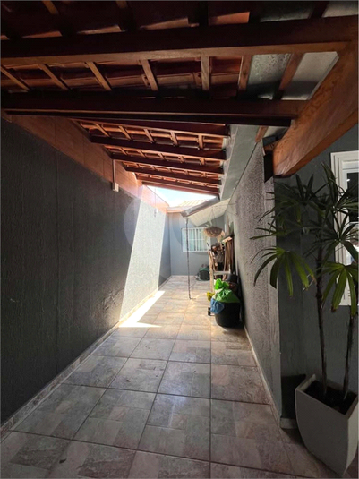 Foto REO1122527
