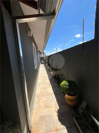 Foto REO1122527