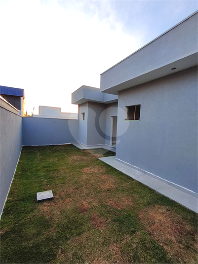 Foto REO1122561