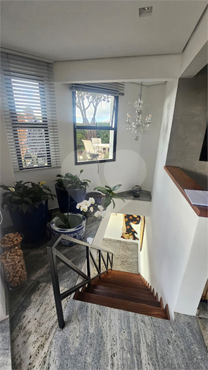 Foto REO1122576