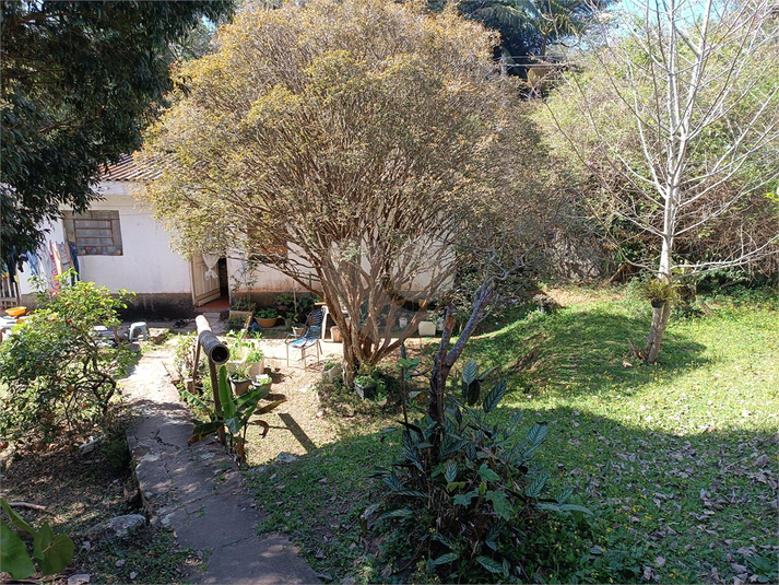 Foto REO1122595