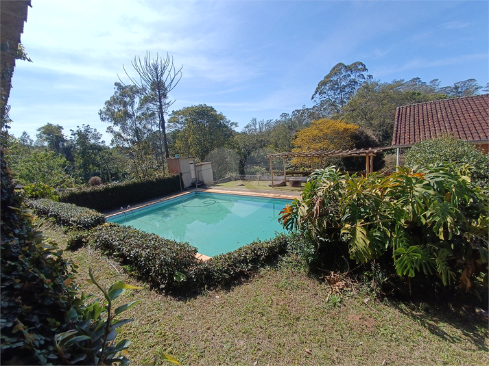 Foto REO1122595