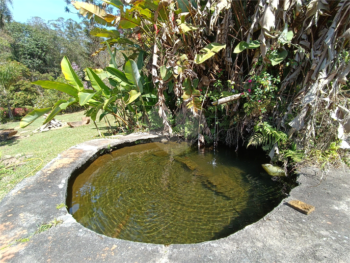 Foto REO1122595