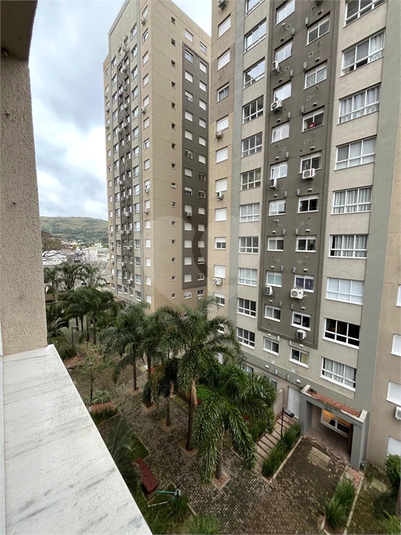 Foto REO1122596