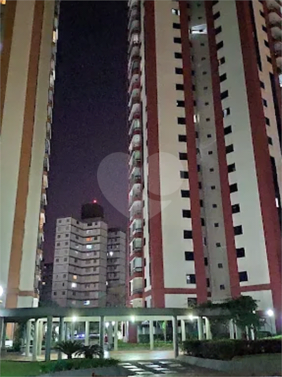 Foto REO1122603