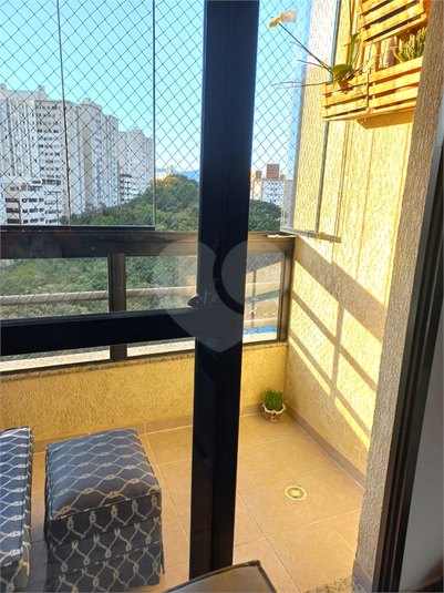 Foto REO1122603
