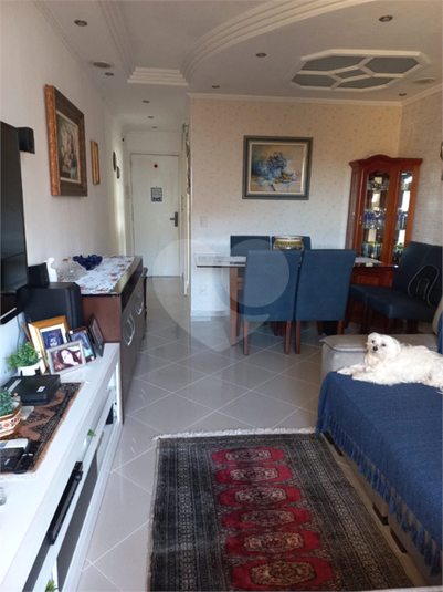 Foto REO1122603