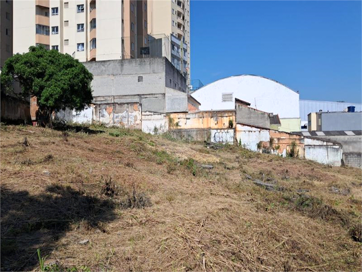 Foto REO1122625