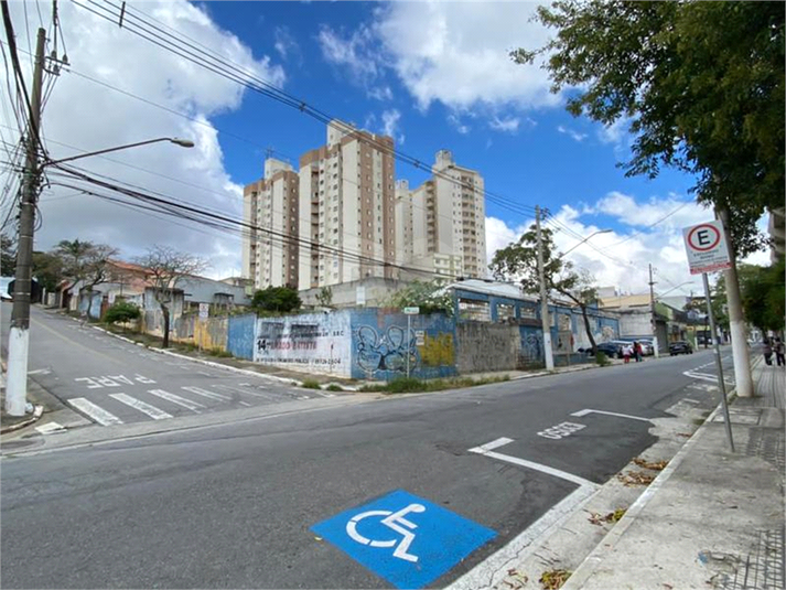 Foto REO1122625