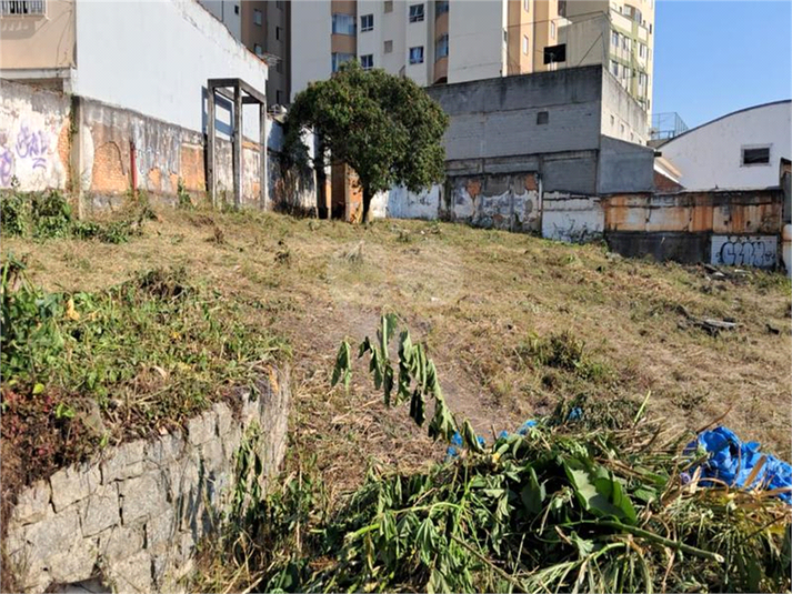 Foto REO1122625
