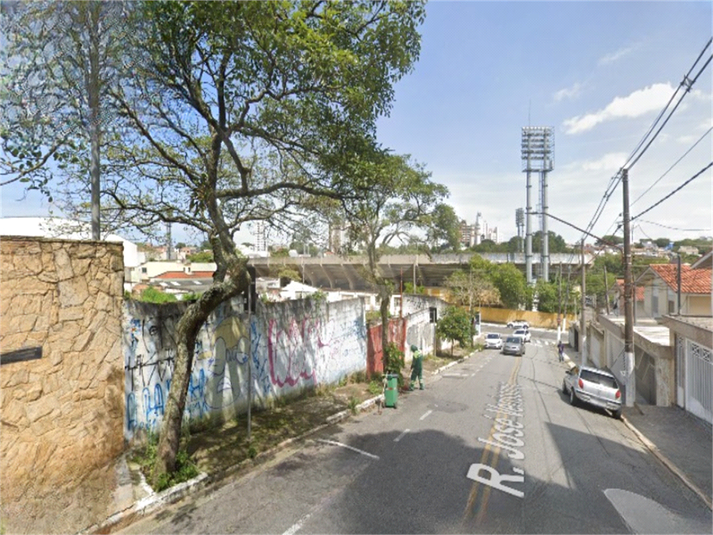 Foto REO1122625