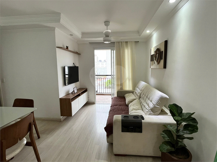 Foto REO1122635