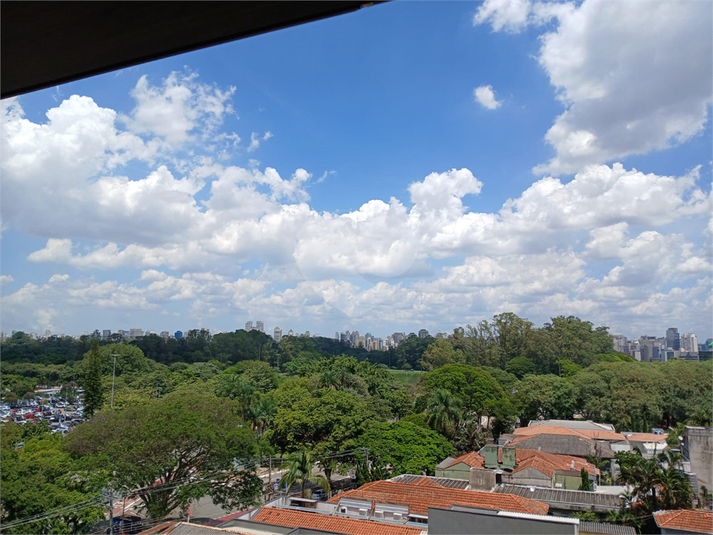 Foto REO1122639