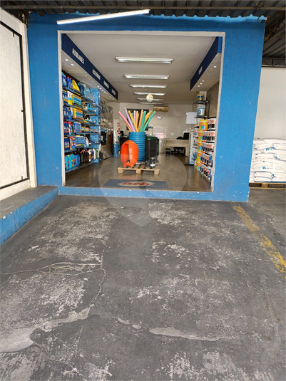 Foto REO1122640