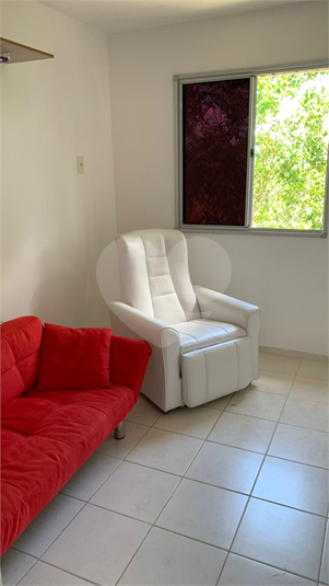 Foto REO1122644