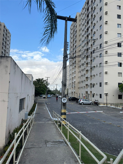 Foto REO1122644