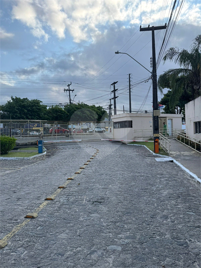 Foto REO1122644