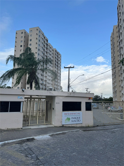 Foto REO1122644