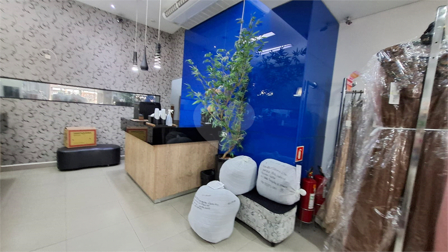 Foto REO1122647