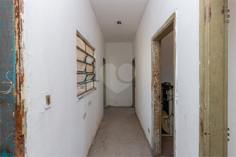 Foto REO1122647