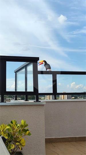 Foto REO1122660