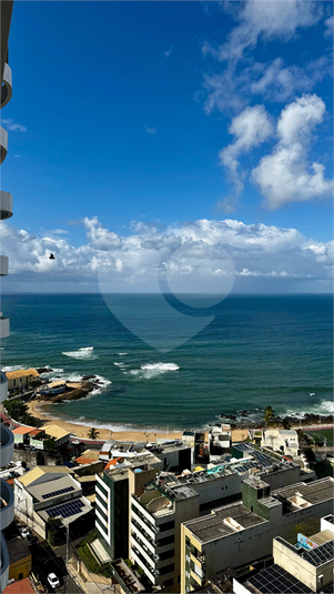 Foto REO1122665