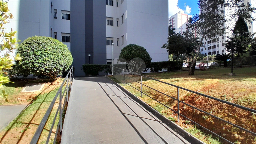 Foto REO1122672