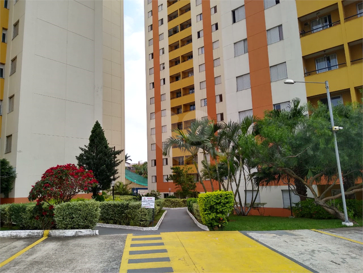 Foto REO1122672