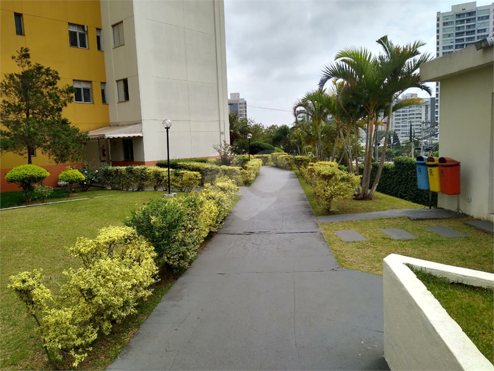 Foto REO1122672