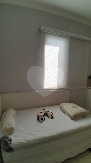 Foto REO1122672