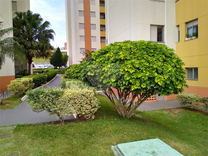 Foto REO1122672