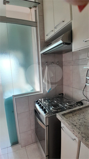 Foto REO1122672