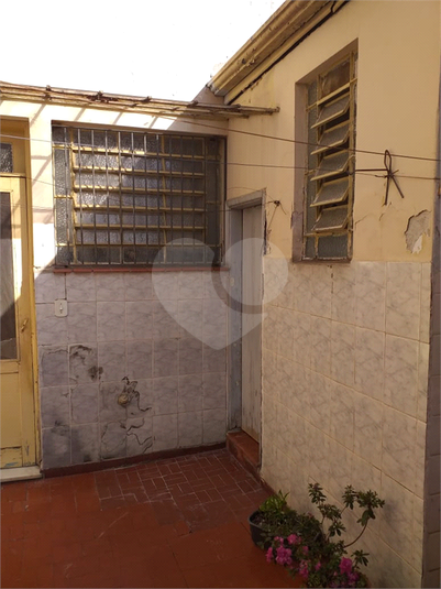 Foto REO1122673