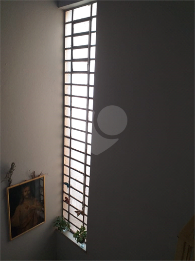 Foto REO1122673
