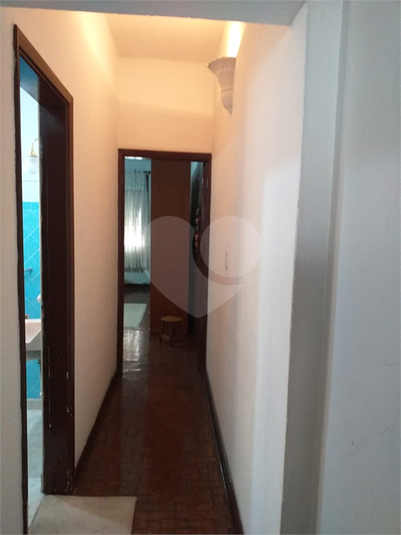 Foto REO1122673