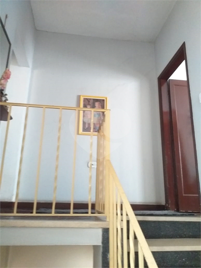 Foto REO1122673