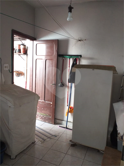 Foto REO1122673