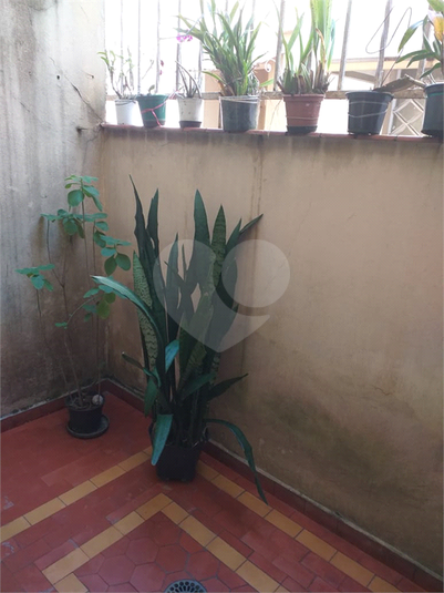 Foto REO1122673