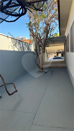 Foto REO1122676